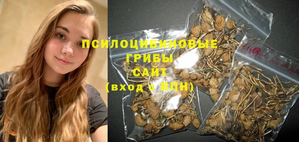 молекула духа Пролетарск