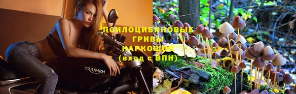 меф VHQ Рославль